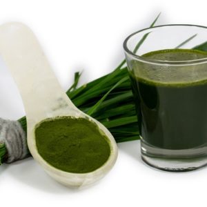 Chlorophyll Kongress 2020